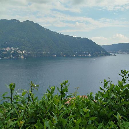 Little Garden House Villa Cernobbio Ngoại thất bức ảnh